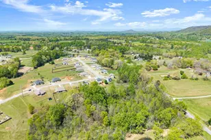 6064 Creekside View Ln, Clermont, GA 30527 - Photo 55