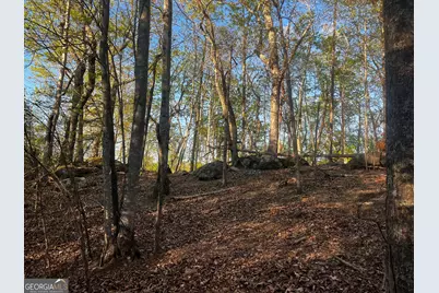 140 Lakeview Walk, Baldwin, GA 30511 - Photo 3