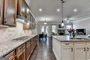 3010 Arbor Vine Way, Cumming, GA 30041 - Photo 13