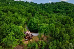 273 Deer Crest Heights, Blue Ridge, GA 30513 - Photo 71