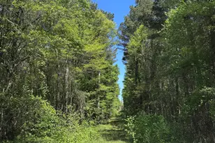 0 Roquemore Rd, Athens, GA 30607 - Photo 1