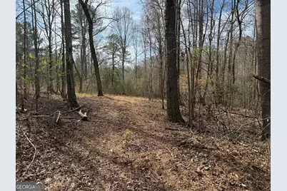 4.51 Acres Whatley Road N, Lagrange, GA 30240 - Photo 7