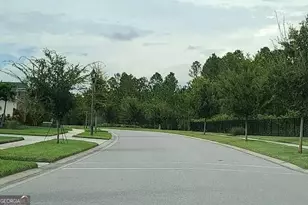 16334 Frehley Run, Land O Lakes, FL 34638 - Photo 5