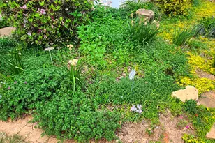 120 Shilling Way, Newnan, GA 30263 - Photo 75