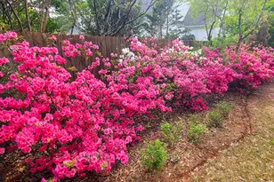 120 Shilling Way, Newnan, GA 30263 - Photo 77