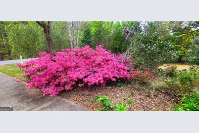 120 Shilling Way, Newnan, GA 30263 - Photo 71