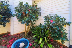 120 Shilling Way, Newnan, GA 30263 - Photo 63