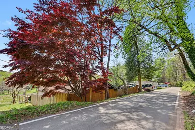 202 Old Screamer Street, Clayton, GA 30525 - Photo 13