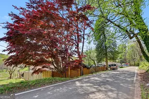 202 Old Screamer St, Clayton, GA 30525 - Photo 13