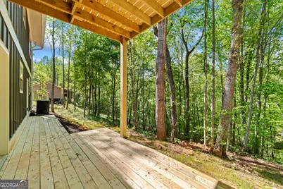 580 White Pine Circle, Demorest, GA 30535 - Photo 45