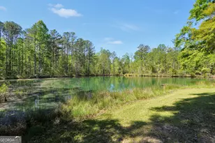 79 Woodland Way, Juliette, GA 31046 - Photo 47