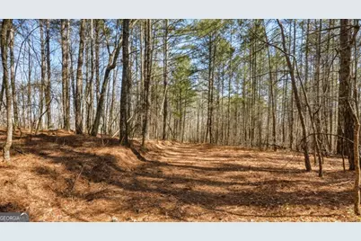 0 Hubbardsville Circle, Dawsonville, GA 30534 - Photo 35