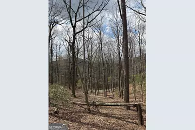 57 Laurel Lane, Ellijay, GA 30536 - Photo 17