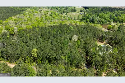 0 Deep South Rd. #2, Senoia, GA 30276 - Photo 3