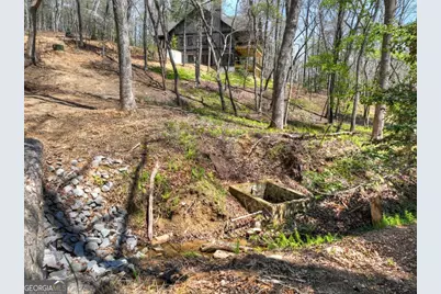 158 Spring Run Drive, Blue Ridge, GA 30513 - Photo 45