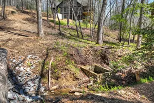 158 Spring Run Drive, Blue Ridge, GA 30513 - Photo 45