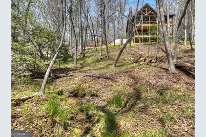 158 Spring Run Drive, Blue Ridge, GA 30513 - Photo 51