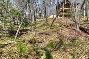 158 Spring Run Drive, Blue Ridge, GA 30513 - Photo 51
