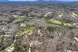 158 Spring Run Drive, Blue Ridge, GA 30513 - Photo 53