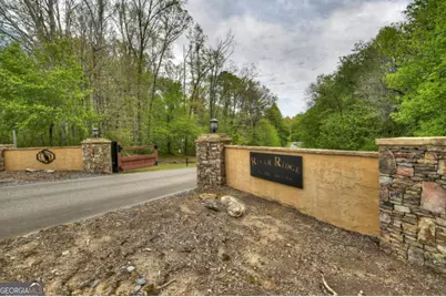 158 Spring Run Drive, Blue Ridge, GA 30513 - Photo 63