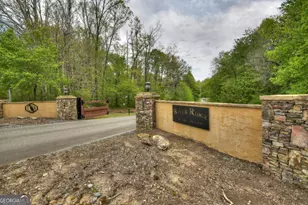 158 Spring Run Drive, Blue Ridge, GA 30513 - Photo 63