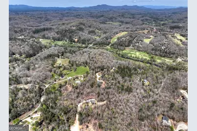 158 Spring Run Drive, Blue Ridge, GA 30513 - Photo 55