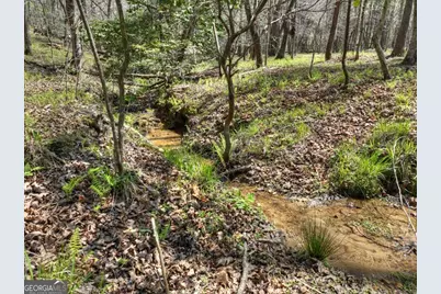 158 Spring Run Drive, Blue Ridge, GA 30513 - Photo 5