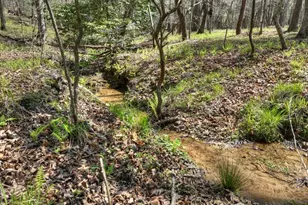 158 Spring Run Drive, Blue Ridge, GA 30513 - Photo 5