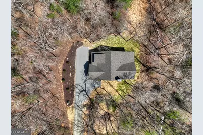 158 Spring Run Drive, Blue Ridge, GA 30513 - Photo 57
