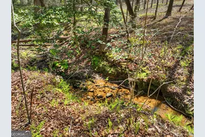 158 Spring Run Drive, Blue Ridge, GA 30513 - Photo 47