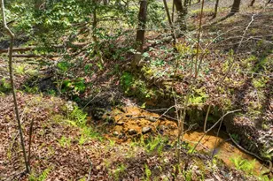 158 Spring Run Drive, Blue Ridge, GA 30513 - Photo 47