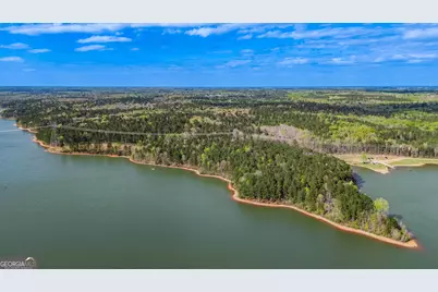 0 Hunter Road, Locust Grove, GA 30248 - Photo 11