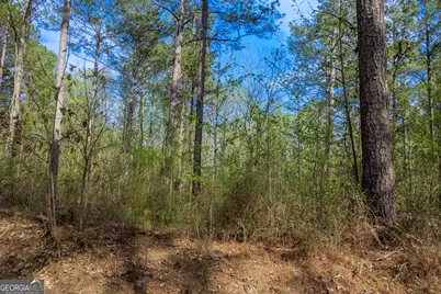 0 Hunter Road, Locust Grove, GA 30248 - Photo 19