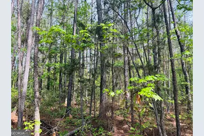 0 Whitesville/ Burkes Chapel Road, Lagrange, GA 30241 - Photo 5