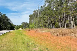 0 Whitesville/ Burkes Chapel Rd, Lagrange, GA 30241 - Photo 1