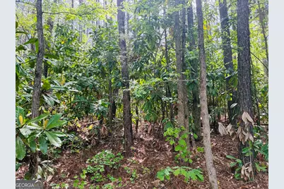 0 Whitesville/ Burkes Chapel Road, Lagrange, GA 30241 - Photo 9