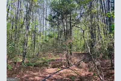 0 Whitesville/ Burkes Chapel Road, Lagrange, GA 30241 - Photo 7