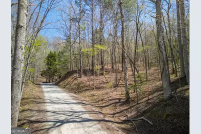 1.02 Acres Jennifer Lane, Mineral Bluff, GA 30559 - Photo 5