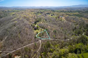 1 02 Acres Jennifer Ln, Mineral Bluff, GA 30559 - Photo 1