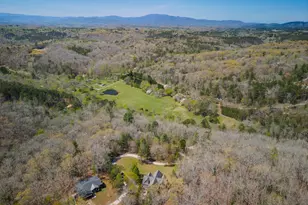 1 02 Acres Jennifer Ln, Mineral Bluff, GA 30559 - Photo 1