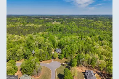 260 Kensington Drive, Sharpsburg, GA 30277 - Photo 61