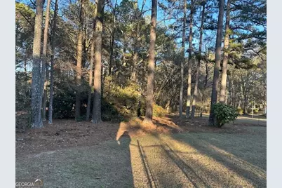 164 Turner Creek Drive, Hampton, GA 30228 - Photo 29