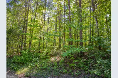 1.01 Acre Oak Drive, Toccoa, GA 30577 - Photo 15