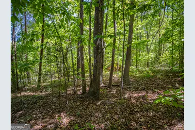 1.01 Acre Oak Drive, Toccoa, GA 30577 - Photo 13