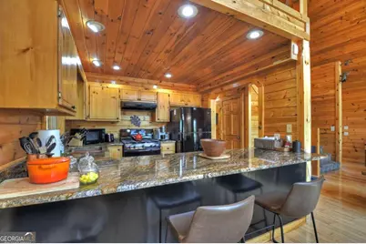 256 Bailey Farm Lane, Mineral Bluff, GA 30559 - Photo 13