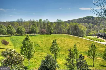 256 Bailey Farm Lane, Mineral Bluff, GA 30559 - Photo 41