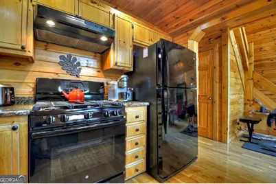 256 Bailey Farm Lane, Mineral Bluff, GA 30559 - Photo 17