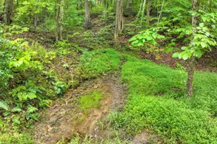 430 Chestnut Ridge, Blue Ridge, GA 30513 - Photo 11