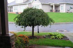 136 Village Dr, Dahlonega, GA 30533 - Photo 31