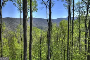 1831 Walnut Ridge, Ellijay, GA 30536 - Photo 3